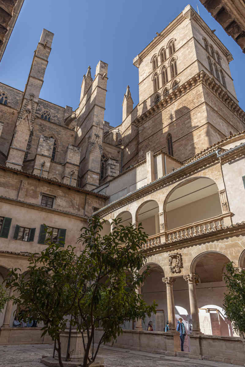 Mallorca - Palma 024 - catedral-basílica de Santa Maria de Mallorca - claustro.jpg
